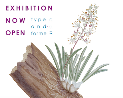 Exhibition – Joseph Banks: A Lincolnshire Botanist in Australia