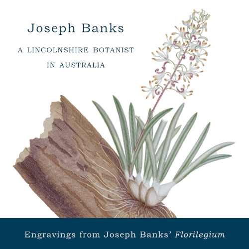 Joseph Banks: A Lincolnshire Botanist in Australia