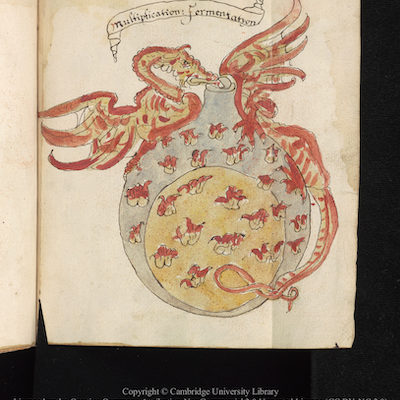 Alchemy at Cambridge University Library: The Crowning of Nature