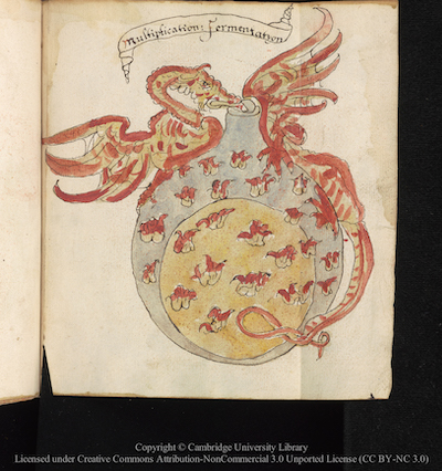 Alchemy at Cambridge University Library: The Crowning of Nature
