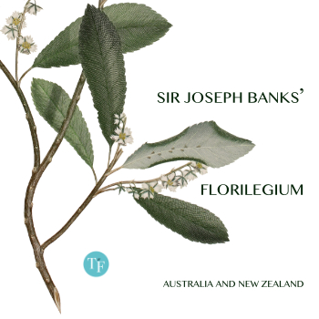 Sir Joseph Banks’ Florilegium: Australia and New Zealand